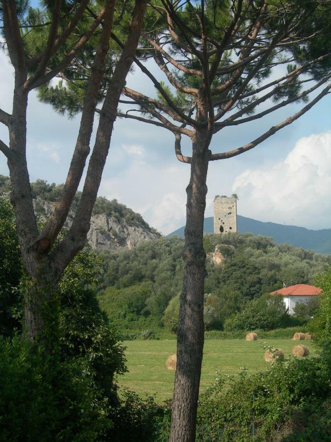 B&B La Rondine Tra Pisa E Lucca Сан-Джулиано-Терме Экстерьер фото