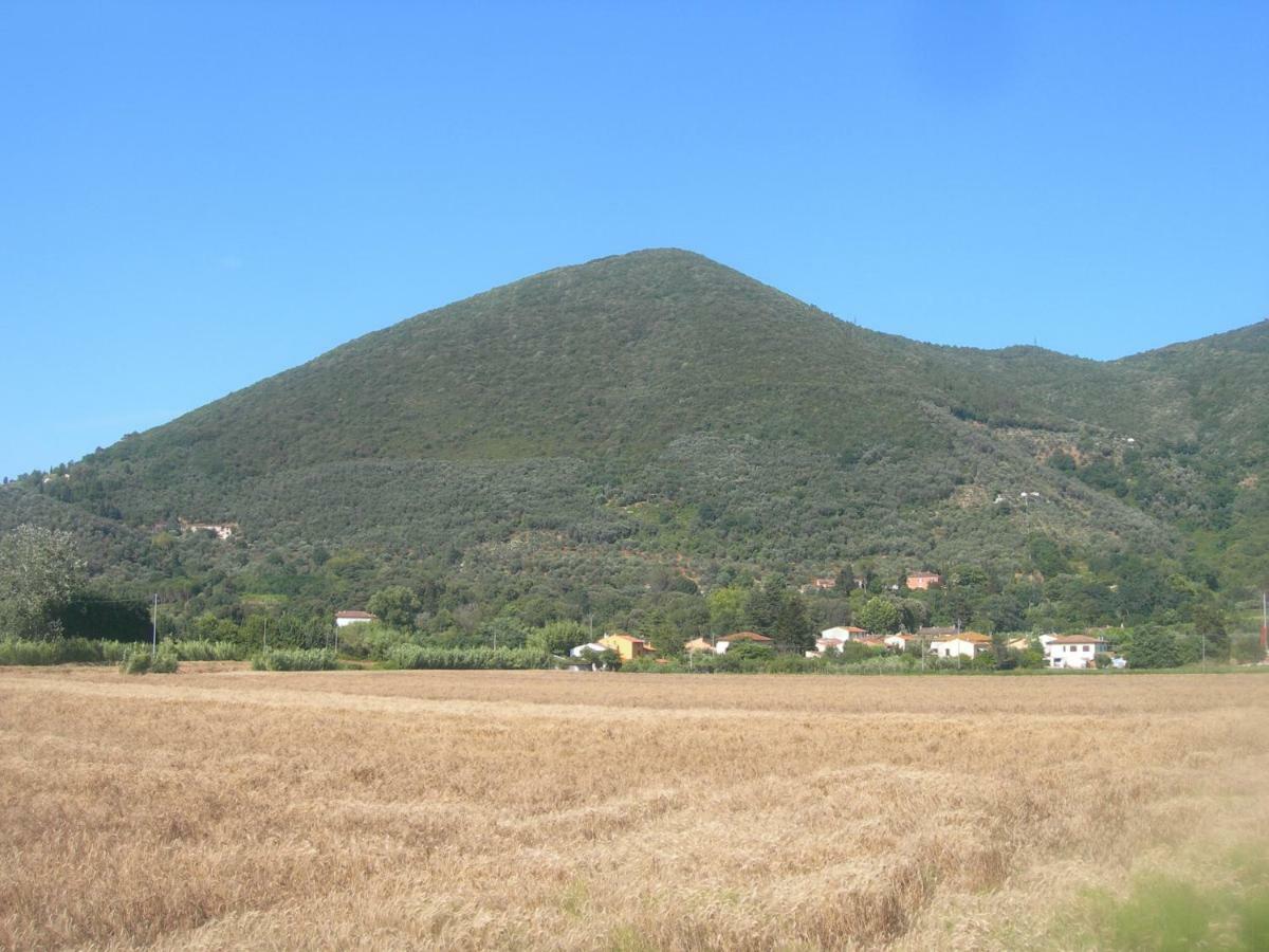 B&B La Rondine Tra Pisa E Lucca Сан-Джулиано-Терме Экстерьер фото
